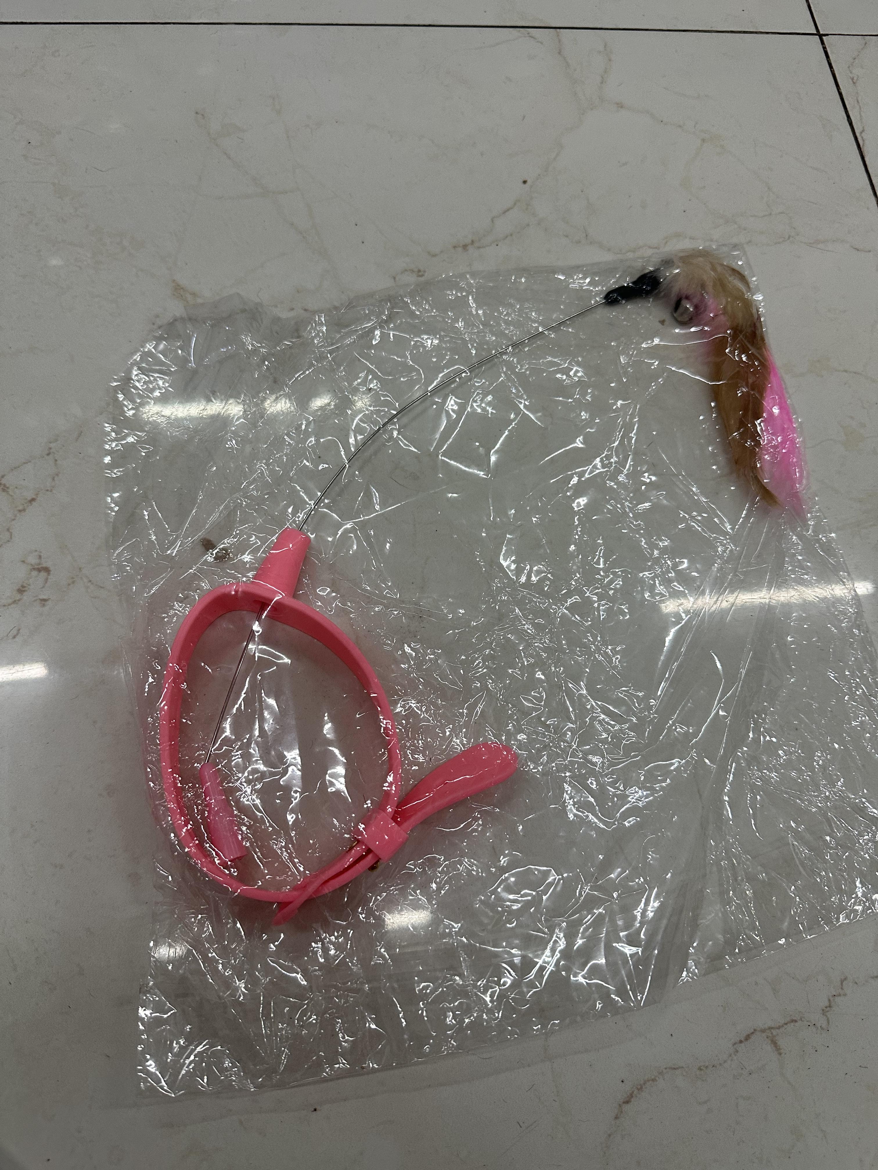 Vòng cổ trêu mèo