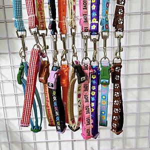 Dây Dắt Vòng Cổ 1,5