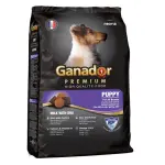 Hạt Ganador Puppy DHA 400g