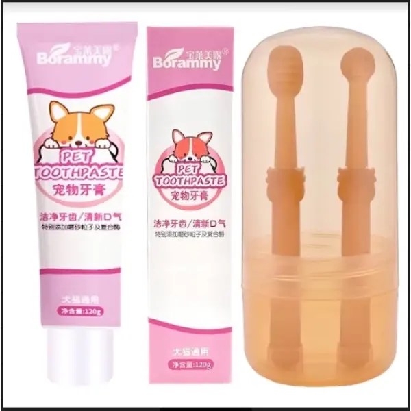 Set kem đánh răng