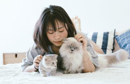Kinh nghiệm chăm sóc lông chó Phốc sóc – Pom #2025