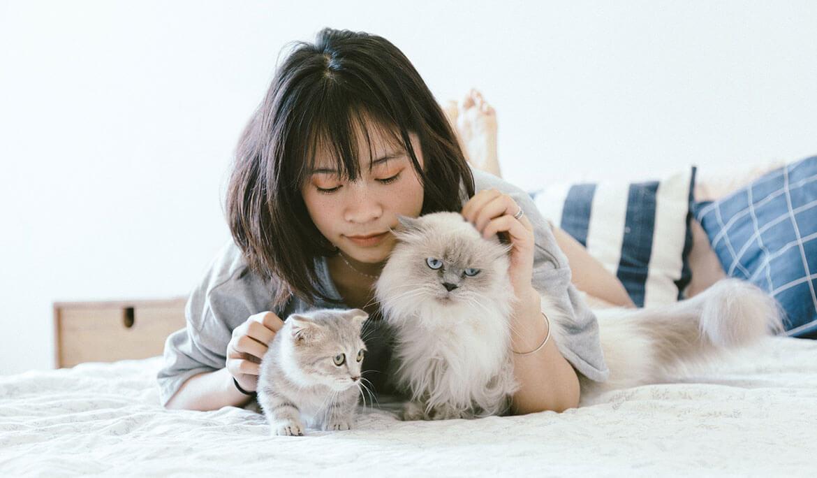 Grooming - Spa Thú Cưng